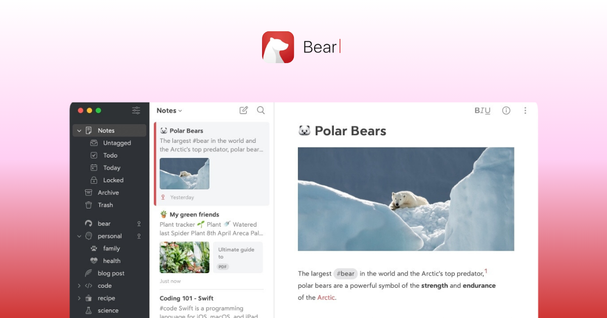 bearnotes