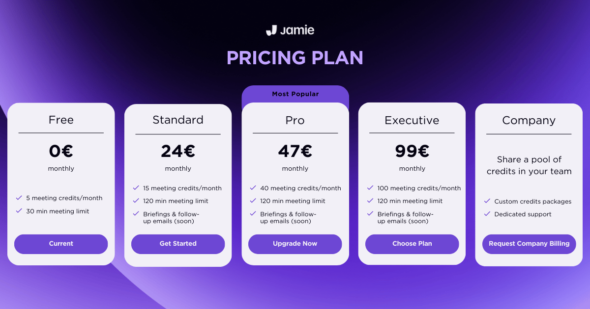 jamie pricing plan