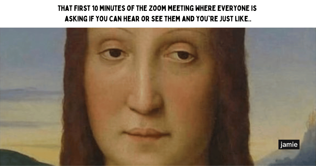 meeting meme: That first 10 minutes of the zoom meeting where everyone is asking if you can hear or see them and you're just like..