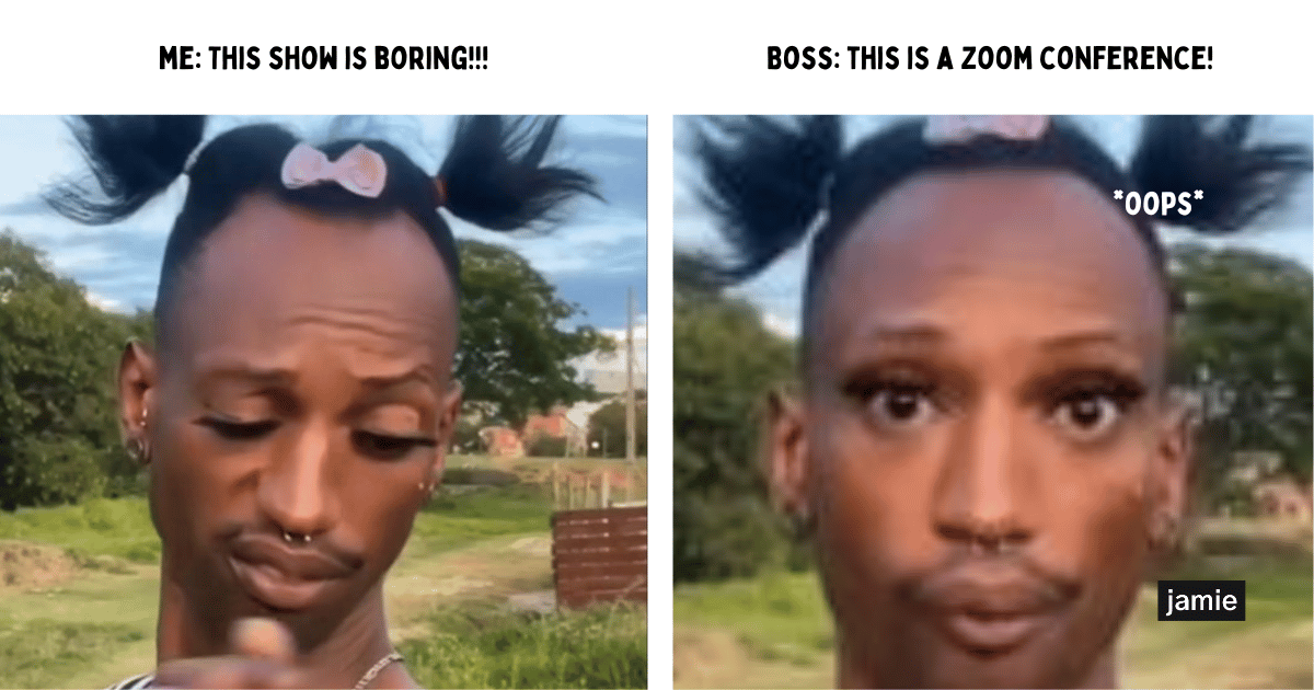 meeting meme: me: this show is boring, boss: this is a zoom conference