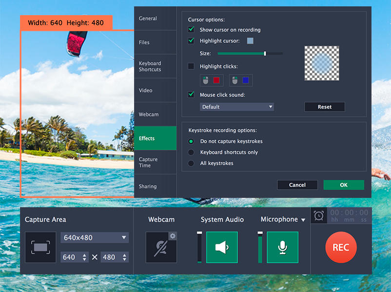 movavi  dashboard